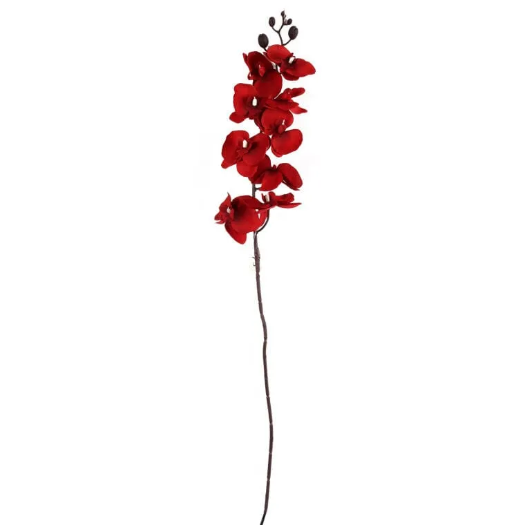 Storczyk Gałązka 95 cm - Czerwona