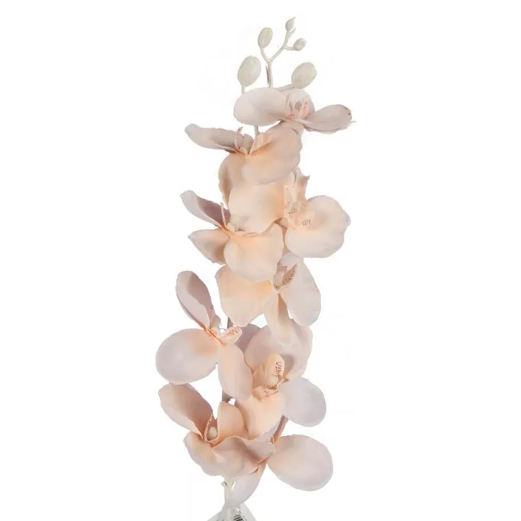 Storczyk Gałązka 95 cm - Kremowa