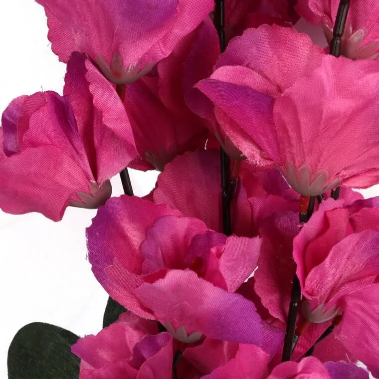 Bukiet 5 Gladioli Ciemno Różowych
