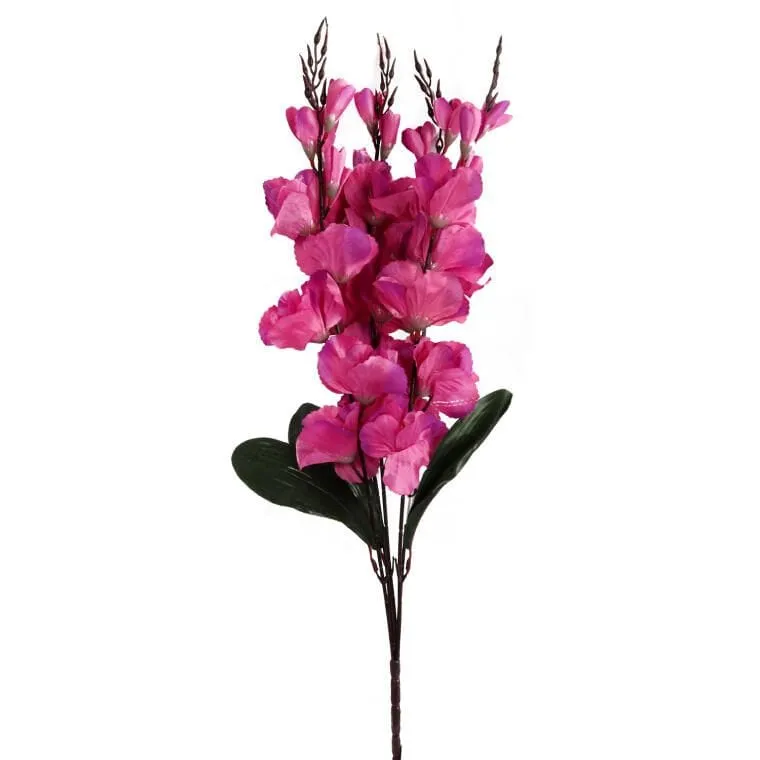 Bukiet 5 Gladioli Ciemno Różowych