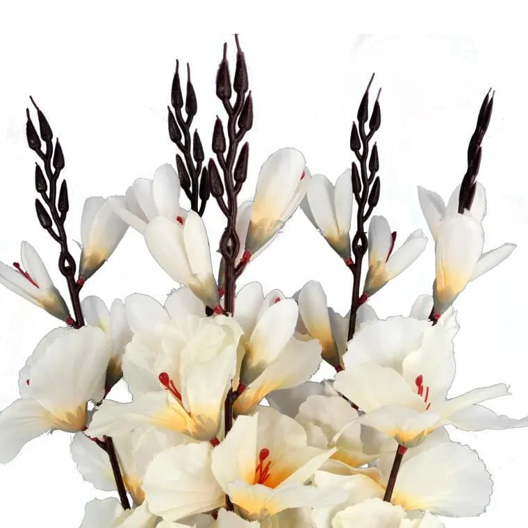 Bukiet 5 Gladioli Kremowych