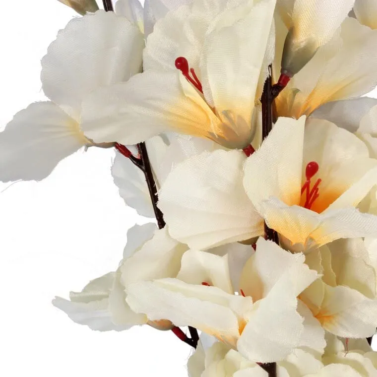 Bukiet 5 Gladioli Kremowych