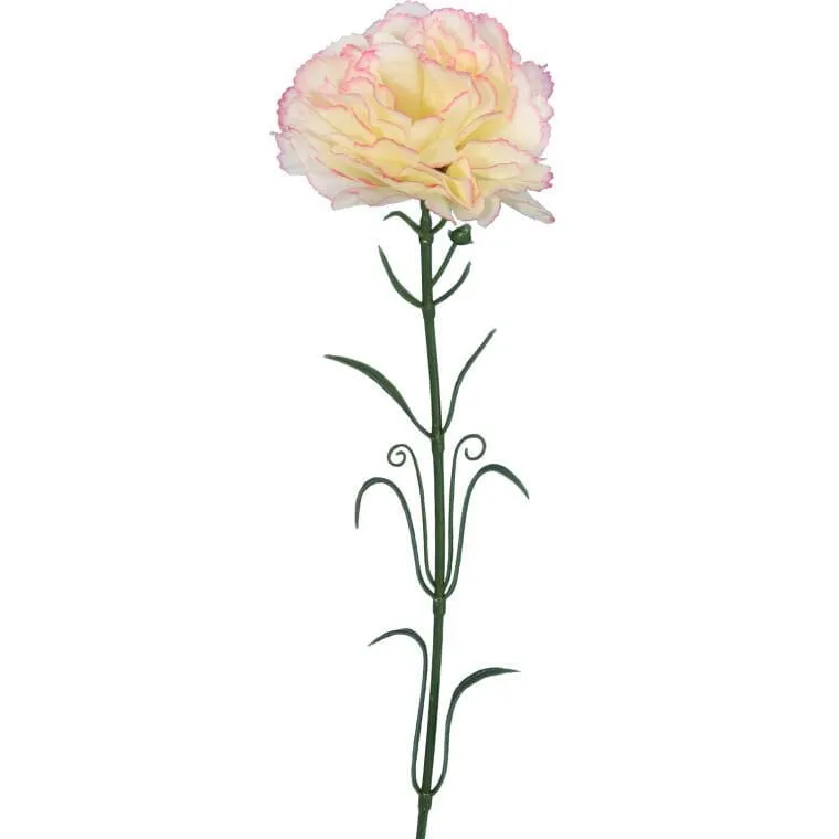 Goździk Pojedynka W Kolorze Różowym 54 cm - Biało