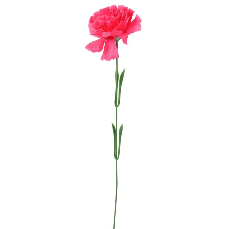 Goździk Pojedynka W Kolorze Ciemno Różowym 46 cm