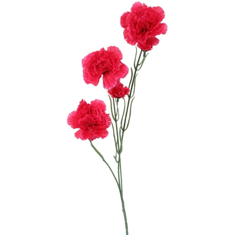 Goździki Różowe Sztuczne - Gałązka 5 Sztuk, 68 cm