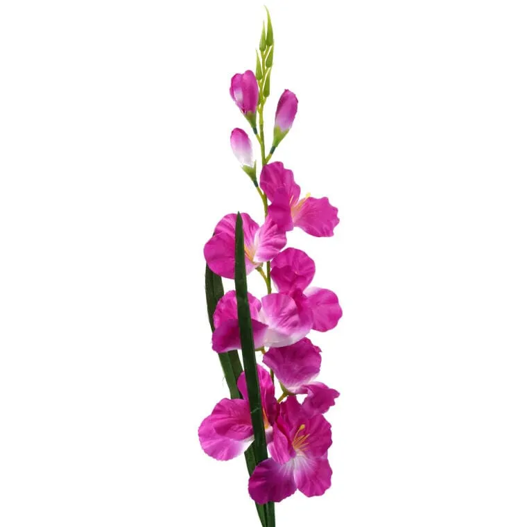 Gałązka Gladioli Kolor Biało Fioletowy