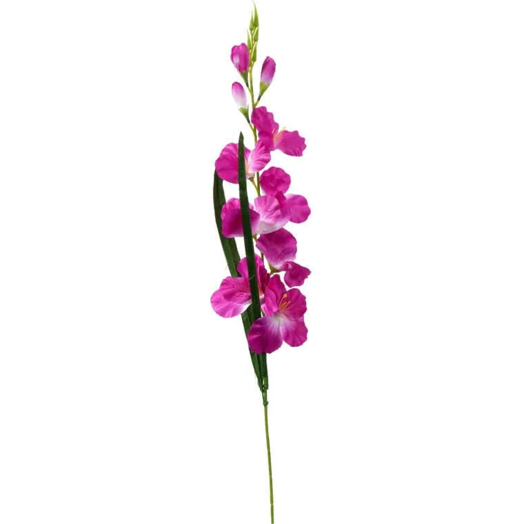Gałązka Gladioli Kolor Biało Fioletowy