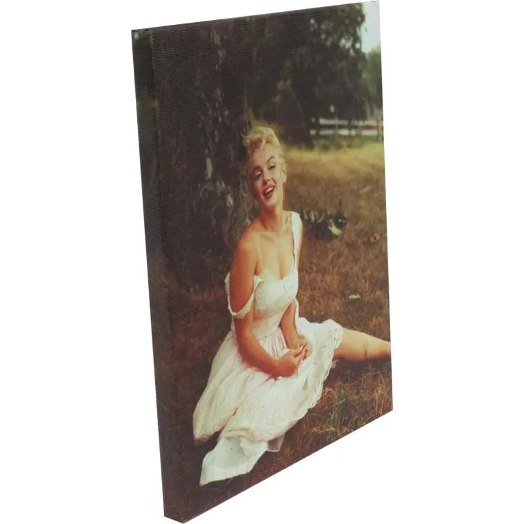 Obraz Merlin Monroe Na Trawie Płótno 45cm X 34cm
