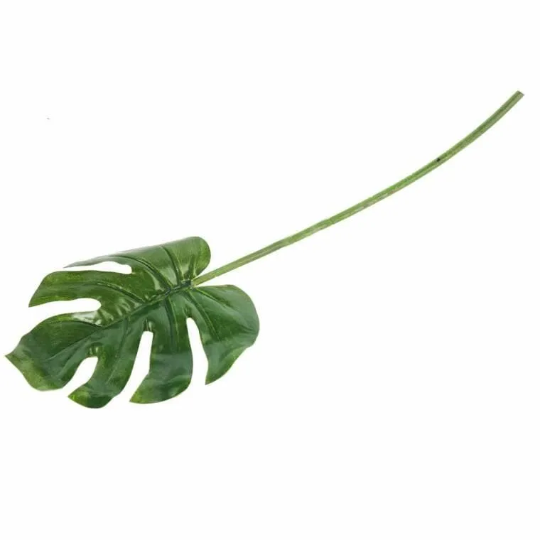 Liść Filodendrona 66 cm Kolor - Zielony
