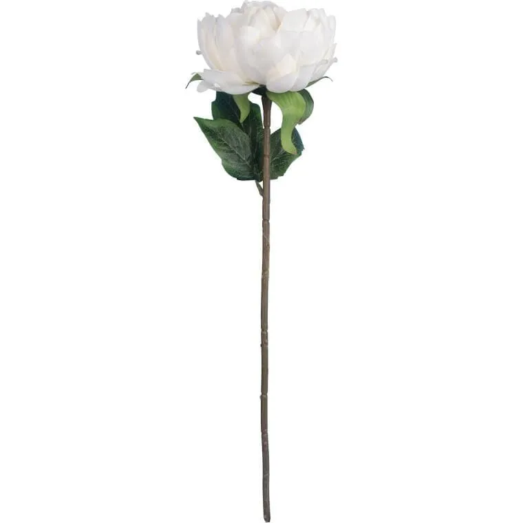 Piwonia 50 cm Kolor - Biały