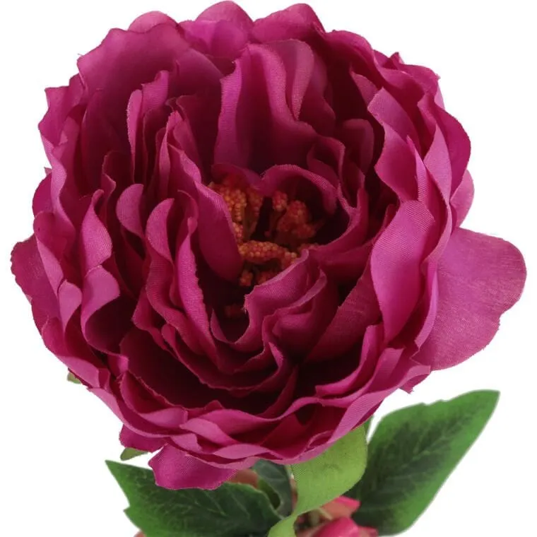 Piwonia 68cm Kolor - Różowy