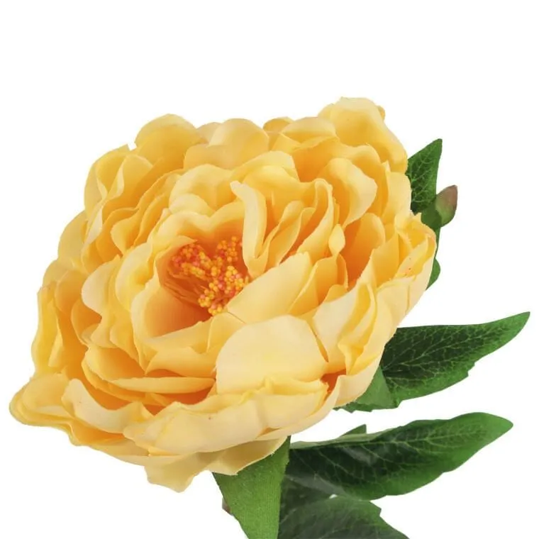 Piwonia 68cm Kolor - Żółty