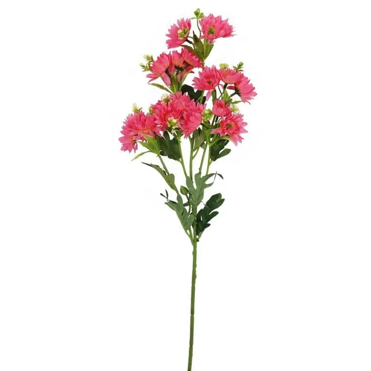 Margaretki Gałazka Wielokwiatowa 70 cm Kolor - Różowy