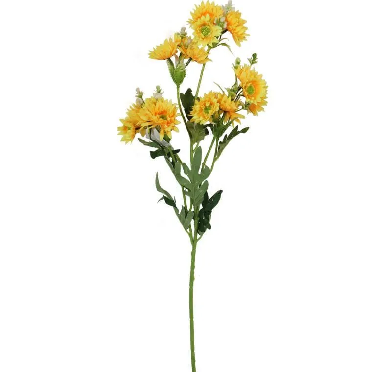 Margaretki Gałazka Wielokwiatowa 70 cm Kolor - Żółty