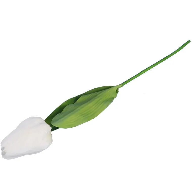 Tulipan Pojedynka Kolor - Biały