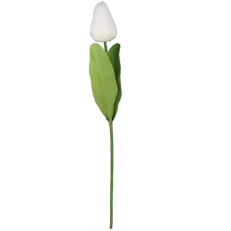 Tulipan Pojedynka Kolor - Biały