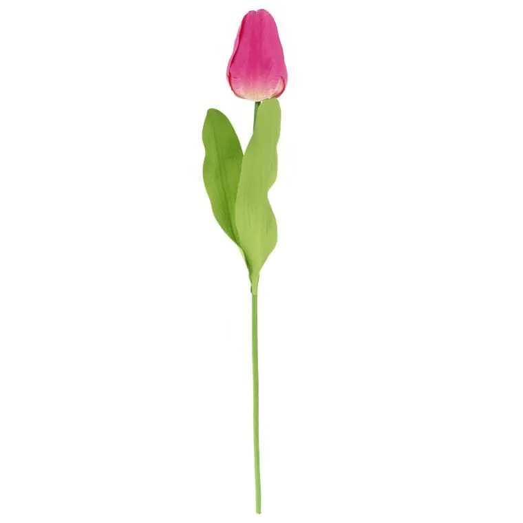 Tulipan Pojedynka Kolor Ciemno - Różowy