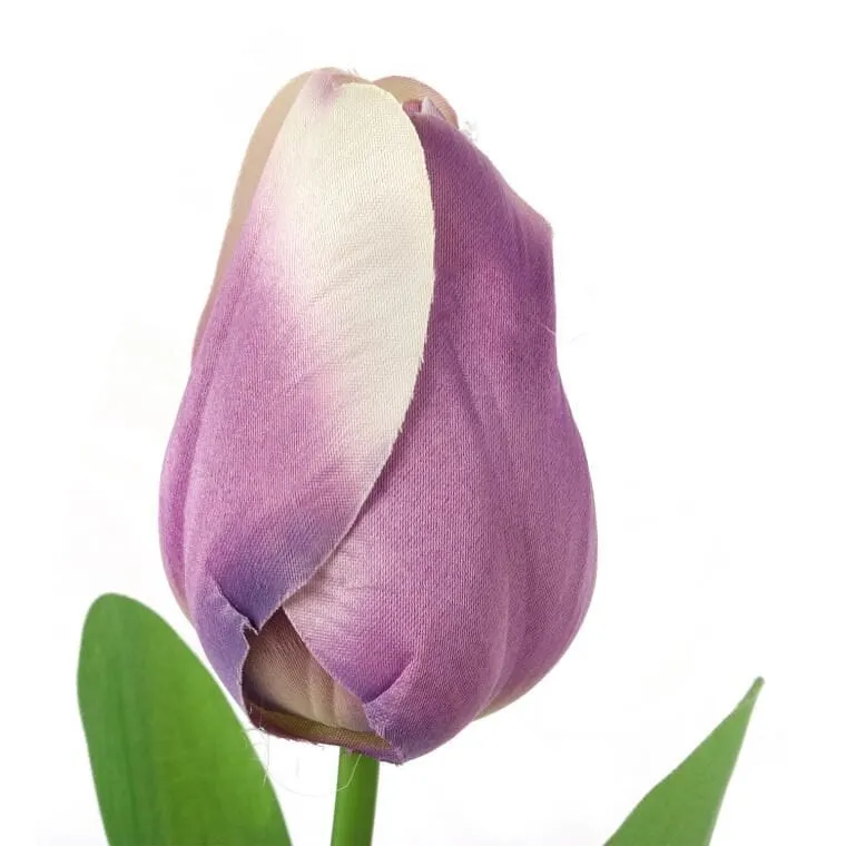 Tulipan Pojedynka Kolor - Fioletowy