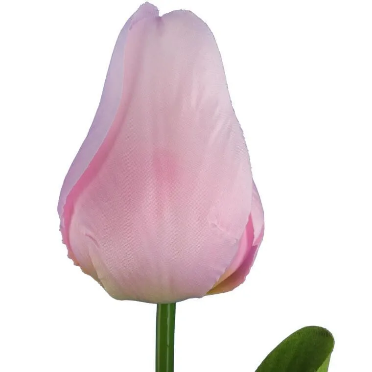 Tulipan Pojedynka Kolor Jasno - Różowy
