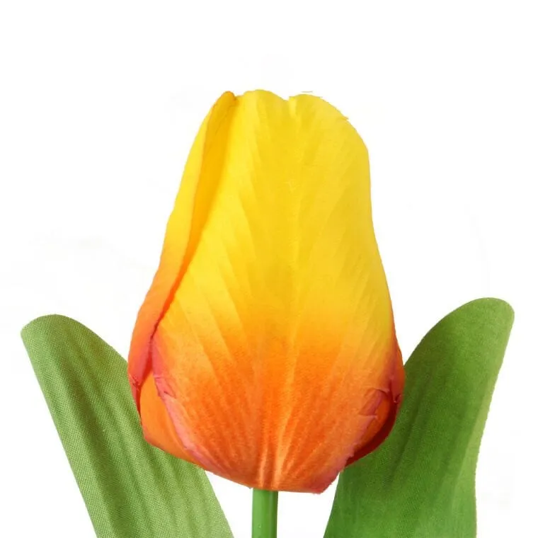 Tulipan Pojedynka Kolor - Pomarańczowy