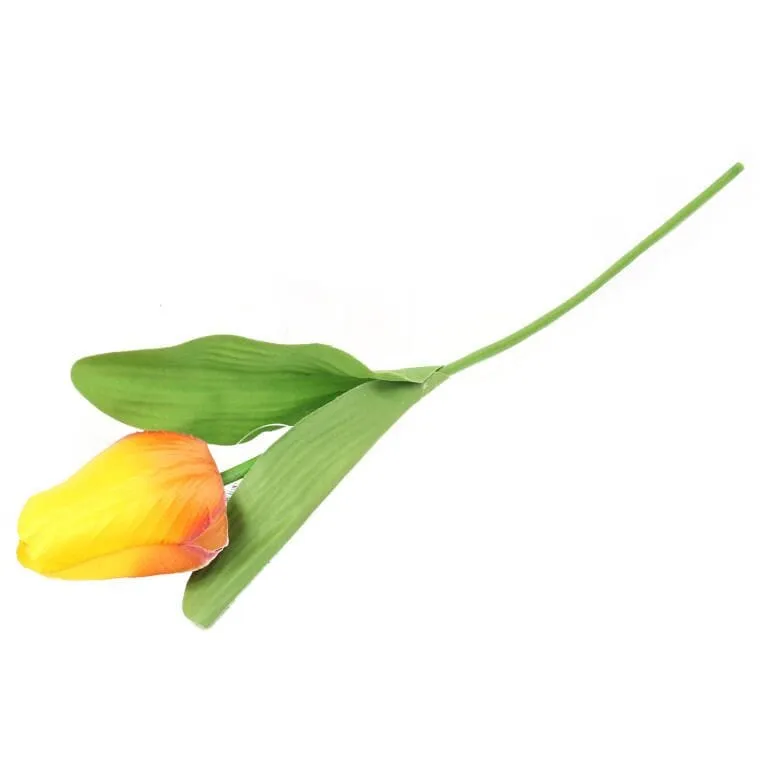 Tulipan Pojedynka Kolor - Pomarańczowy