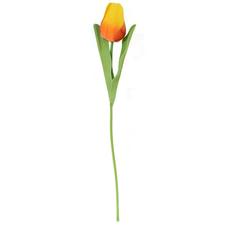 Tulipan Pojedynka Kolor - Pomarańczowy