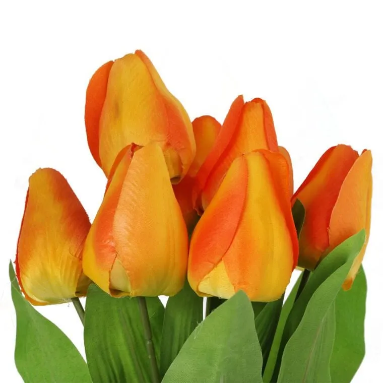 Bukiet 9 Tulipanów 44 cm Kolor - Pomarańczowy