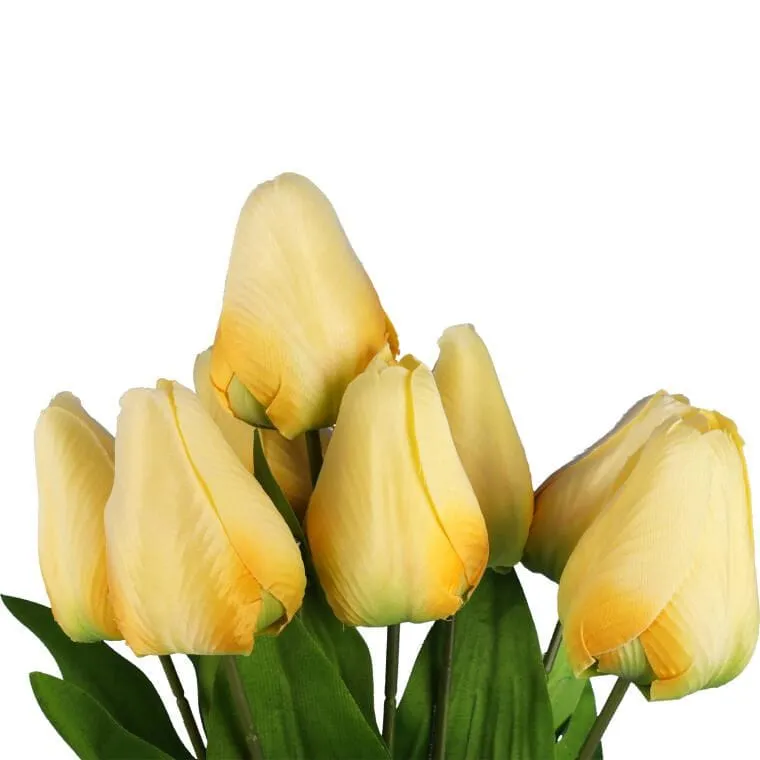 Bukiet 9 Tulipanów 44 cm Kolor - Żółty