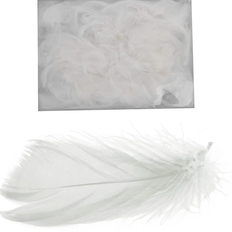 Piórka W Boksie PVC - Białe