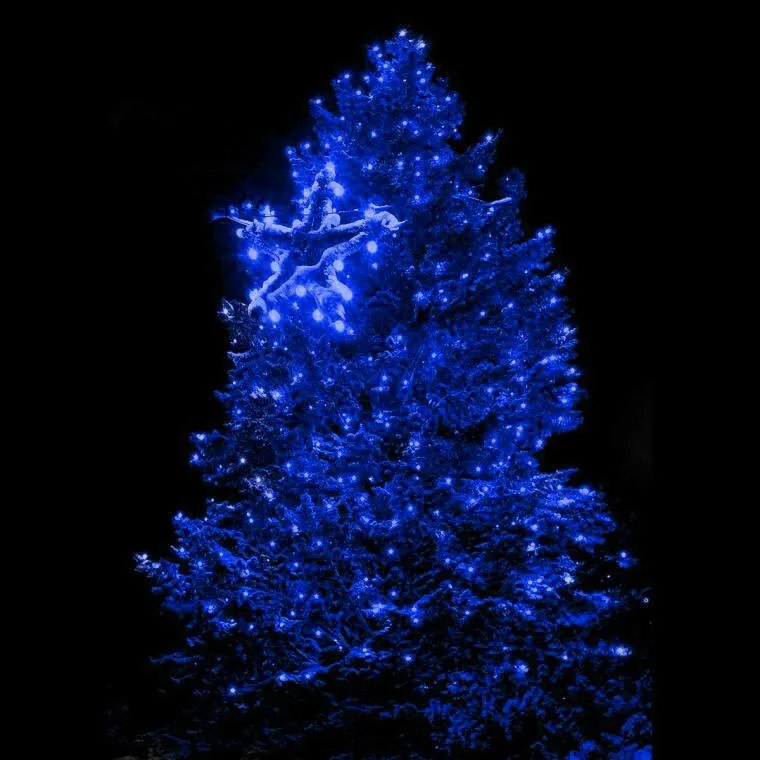 Dekoracja Świetlna Zewnętrzna Niebieska - 100 LED, Łączna, Wysoko Odporna Na Warunki Atmosferyczne, Energooszczędna, Z Gniazdem - IP44