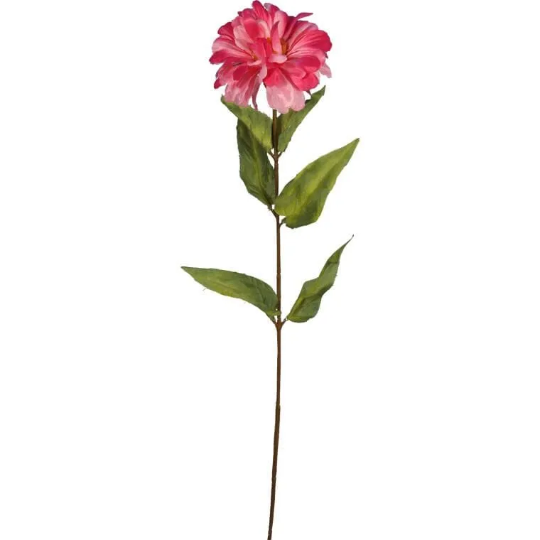 Ciemnoróżowa Cynia - Gałązka Kwiatu O Wysokości 75 cm