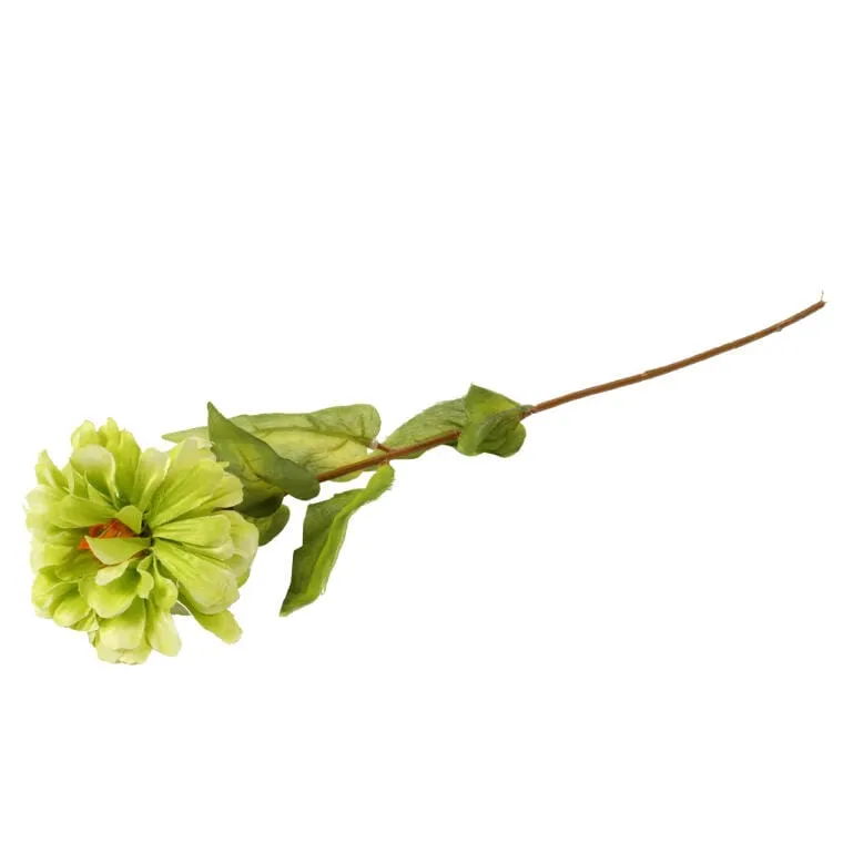 Zielona Cynia - Gałązka Dekoracyjna O Długości 75 cm