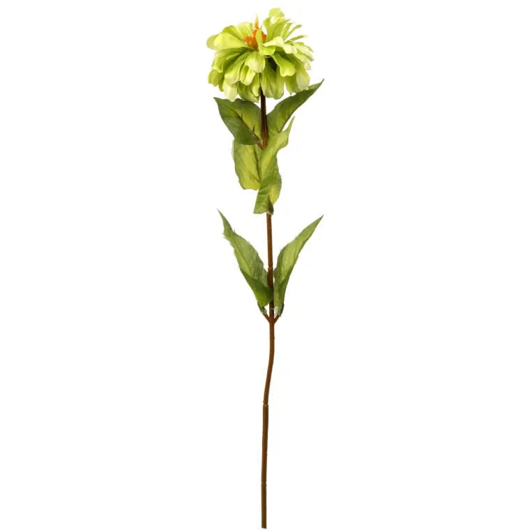 Zielona Cynia - Gałązka Dekoracyjna O Długości 75 cm