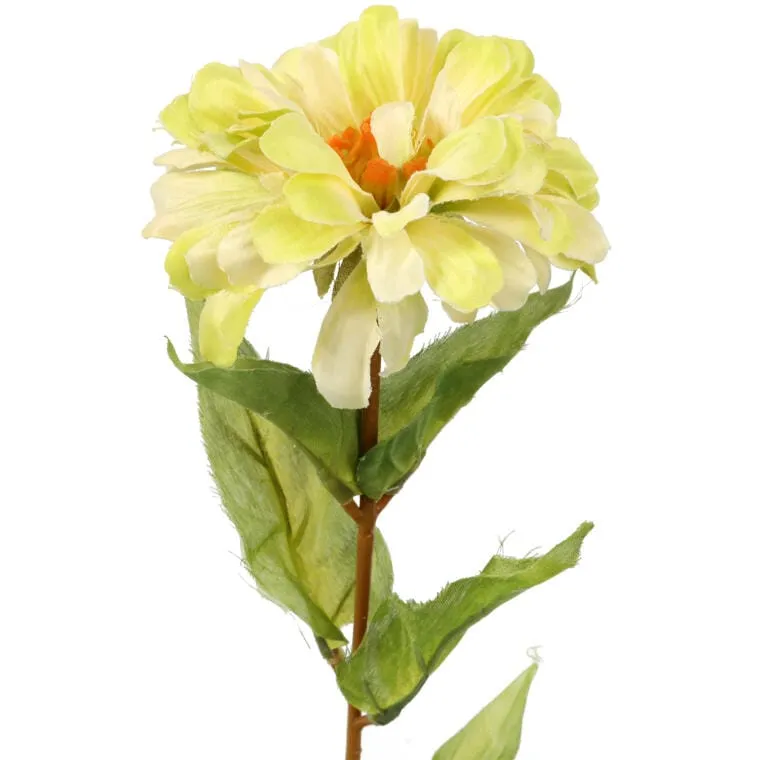 Cynia Dekoracyjna 75 cm - Żółta