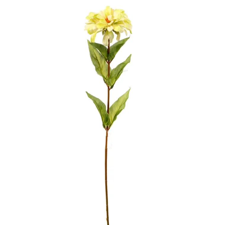 Cynia Dekoracyjna 75 cm - Żółta