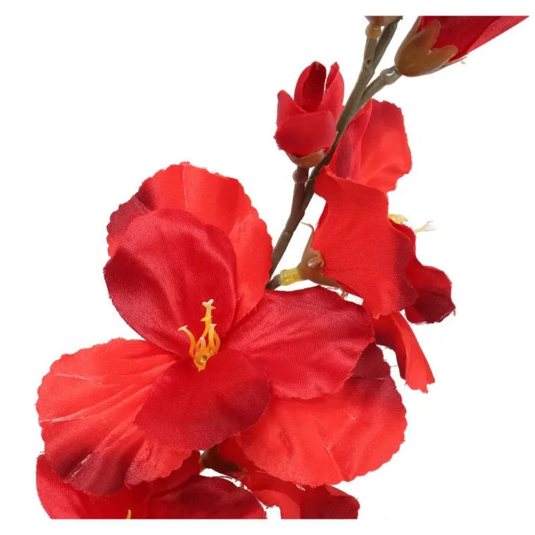 Gladiola - Czerwona