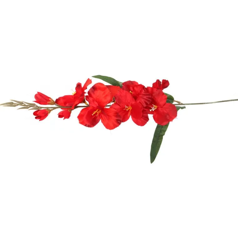 Gladiola - Czerwona