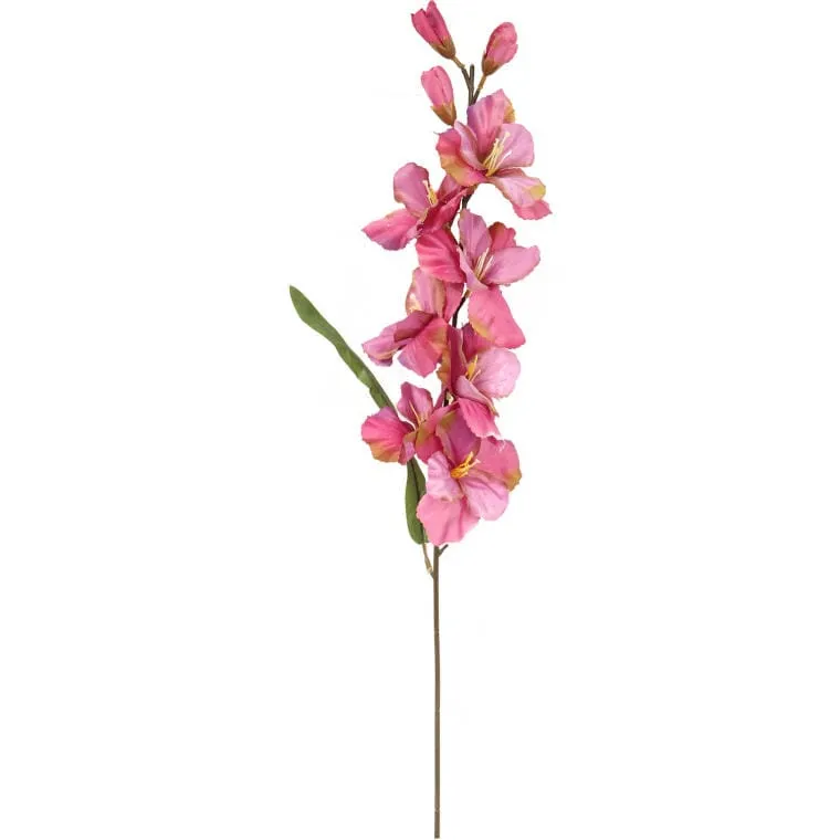 Gałązka Gladioli W Kolorze Różowym Z Listkami