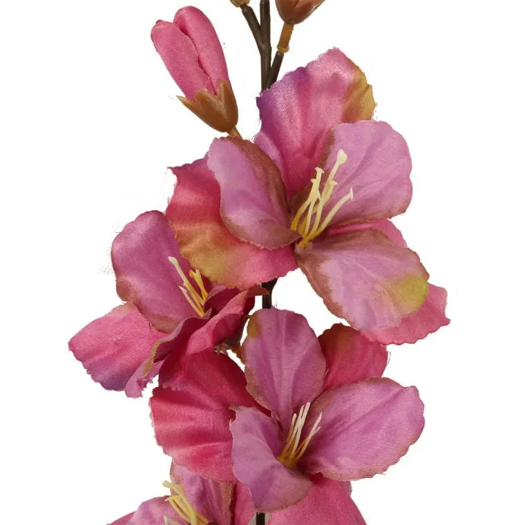 Gałązka Gladioli W Kolorze Różowym Z Listkami