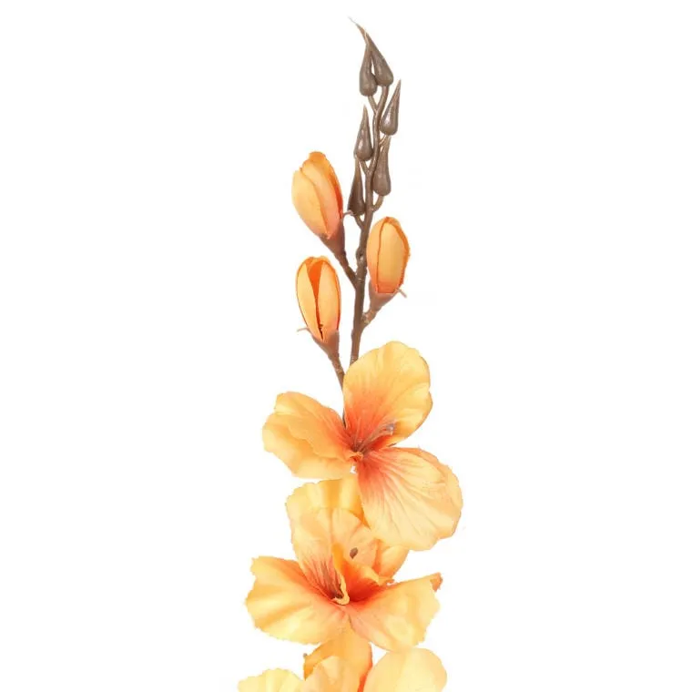 Gladiola - Żółta