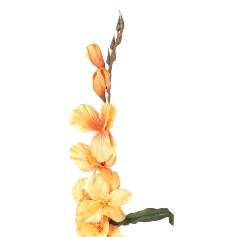 Gladiola - Żółta