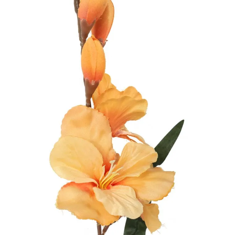 Gladiola - Żółta