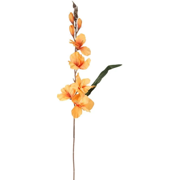 Gladiola - Żółta