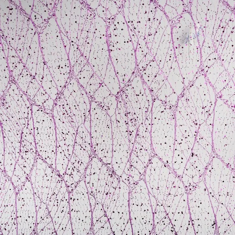 Organza Z Nadrukiem Brokatowym 0,50 x 10 m - Fioletowa