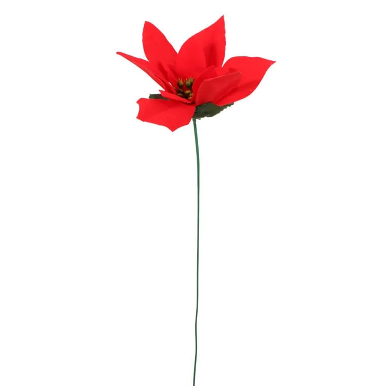 Kwiat Pojedynczy Gwiazda Betlejemska Poinsencja 30 cm