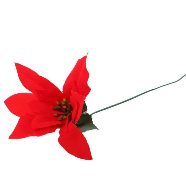 Kwiat Pojedynczy Gwiazda Betlejemska Poinsencja 30 cm