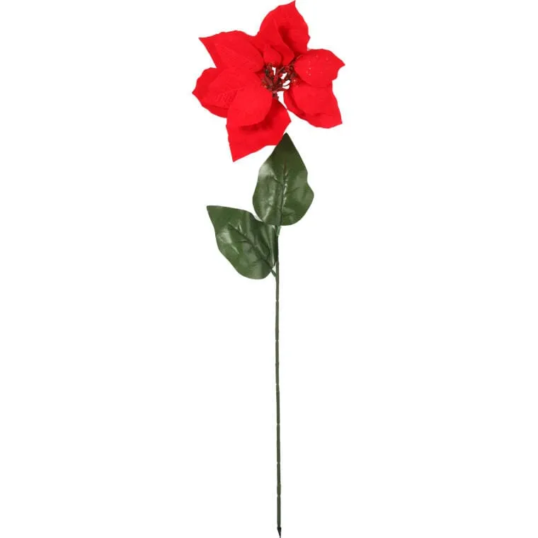 Kwiat Pojedynczy Gwiazda Betlejemska Poinsencja 64 cm