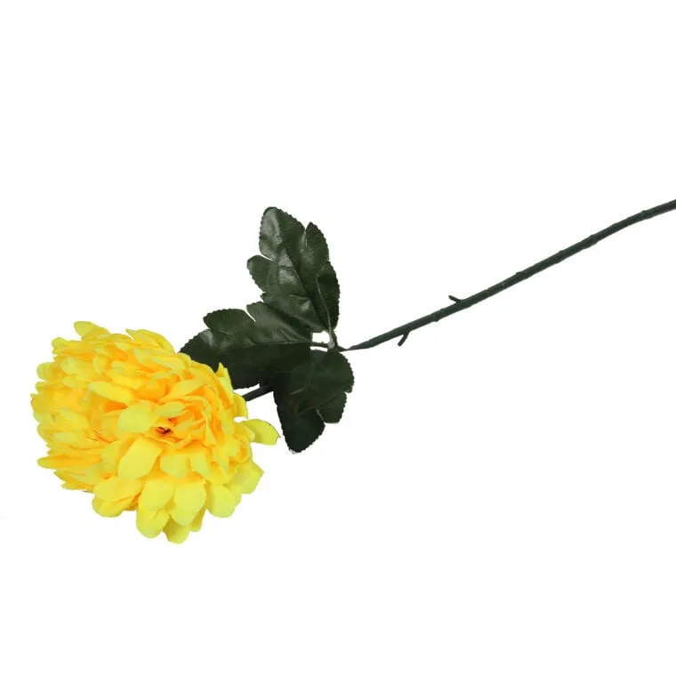 Chryzantema Pojedynczy Kwiat 50 cm - Żółty