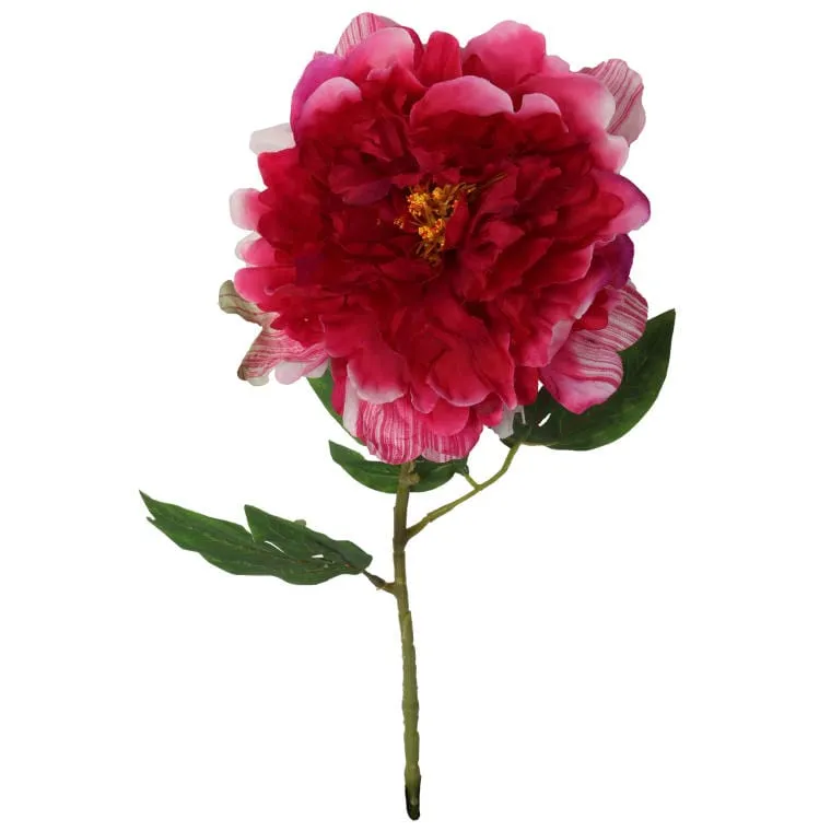 Piwonia Sztuczna Wielkości 74cm W Kolorze Ciemno Różowym