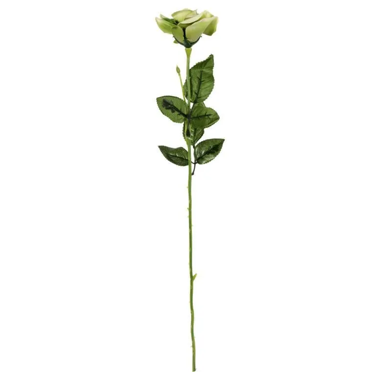 Róża 62 cm Kolor - Zielony